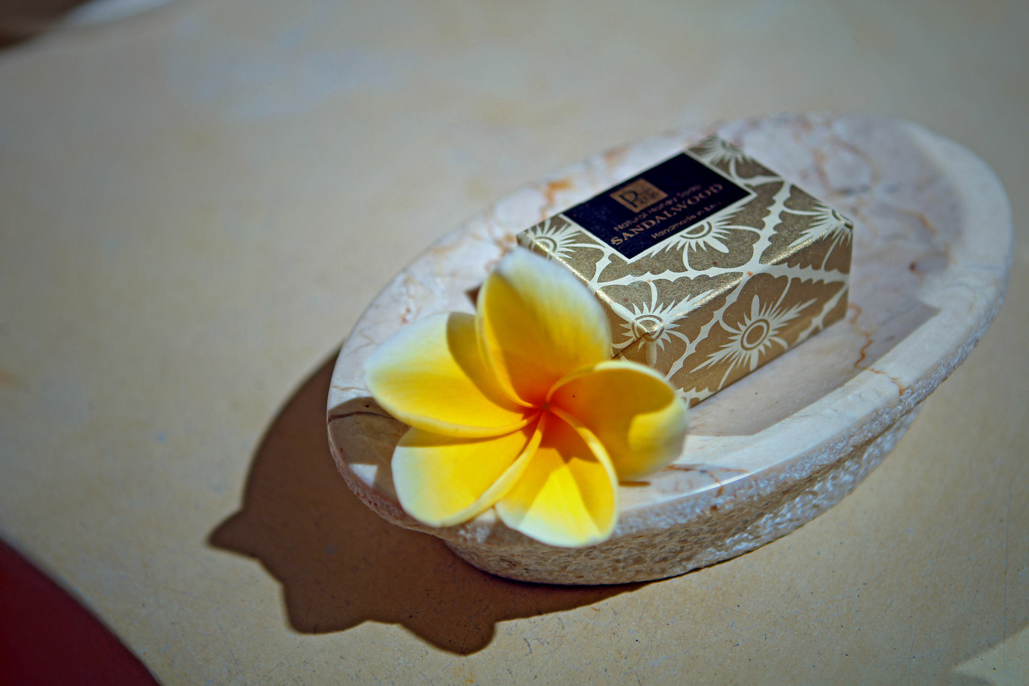 The Bale Tokek Villa Kuta Lombok Kültér fotó